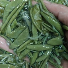 莼菜大包装